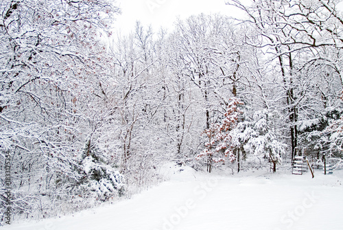 Beautiful landscape winter scene with snow covered tree branches and a ladder going over a fence in rural Missouri.