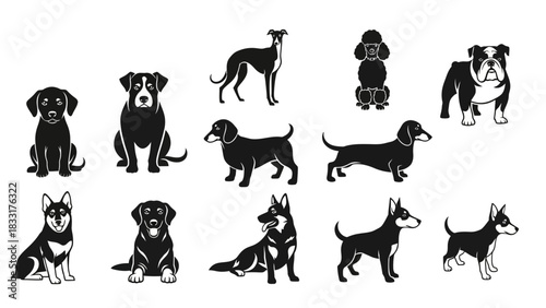 Diverse dog breeds silhouettes collection showcases canine variety and breed distinctions
