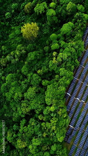 Solar Panels Beside Green Forest Aerial Renewable Energy Concept