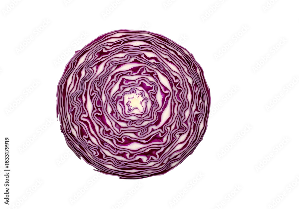 Fototapeta premium Vibrant red cabbage cross section detail view