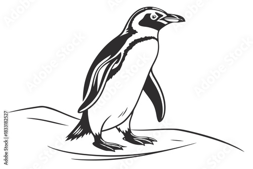 Stylized illustration of a penguin standing on a dark background