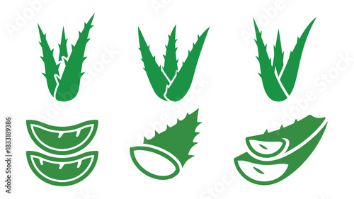 Green aloe vera plant and slices icons set