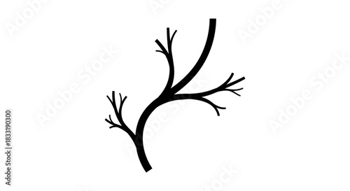 Abstract Branching Veins Illustration on White Background.