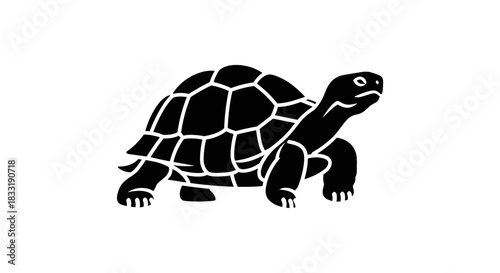 Black and White Turtle Illustration with Detailed Shell Pattern.