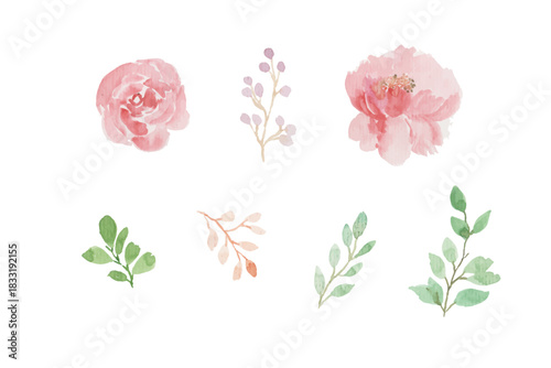 Assortment of watercolor flowers, leaves illustration set - green leaf branches collection for wedding, greetings, stationary, wallpapers, fashion, background. olive, green leaves, Eucalyptus etc.