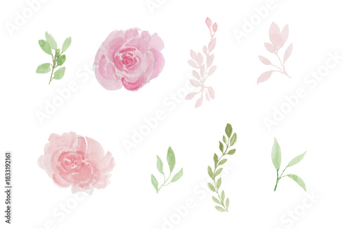 Assortment of watercolor flowers, leaves illustration set - green leaf branches collection for wedding, greetings, stationary, wallpapers, fashion, background. olive, green leaves, Eucalyptus etc.