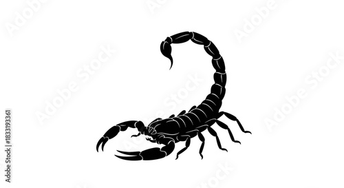 Detailed Silhouette of a Scorpion with Raised Tail.