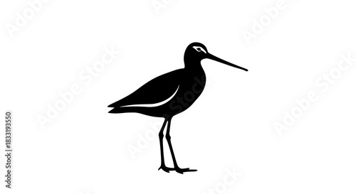 Elegant Black Silhouette of a Standing Shorebird.