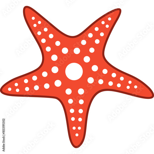 Starfish Icon