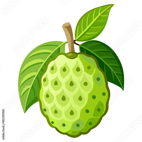 noni fruit on white background