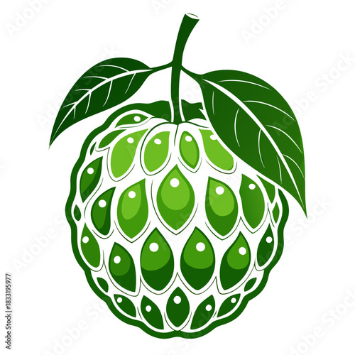 noni fruit silhouette on white background