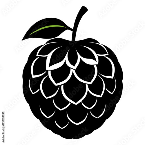 sugar apple custard apple silhouette  on white background