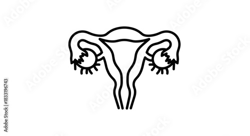Illustration of the Female Reproductive System Anatomy.