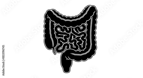 Illustration of the Human Colon and Small Intestine.