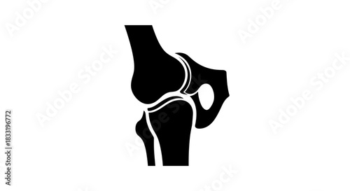 Knee Joint Anatomy A Detailed Vector Illustration.