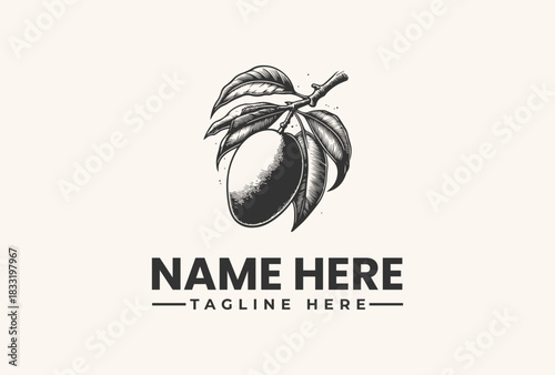 Engraved plum fruit logo on a branch with leaves, a classic botanical vector illustration for natural products