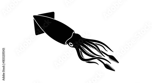 Monochrome Squid Illustration with Detailed Tentacles and Fins.