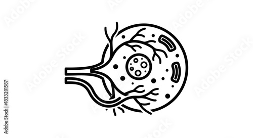 Neuron Cell Structure A Detailed Line Art Illustration.