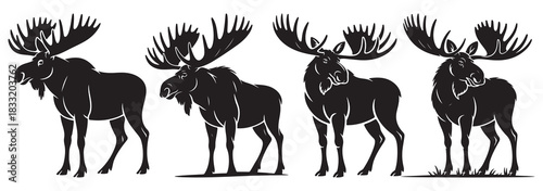 Silhouettes of four majestic moose with large antlers in a row