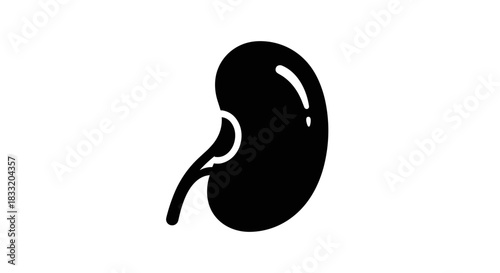 Kidney Icon Human Organ Illustration for Medical Design.