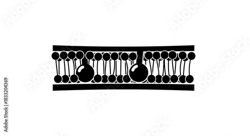 Lipid Bilayer Structure Cell Membrane Diagram with Proteins.