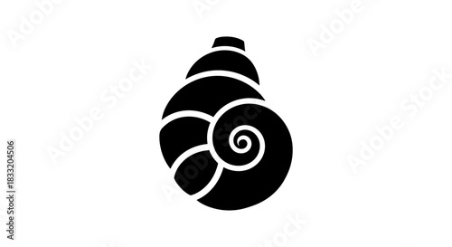Elegant Black and White Snail Shell Illustration on White Background.