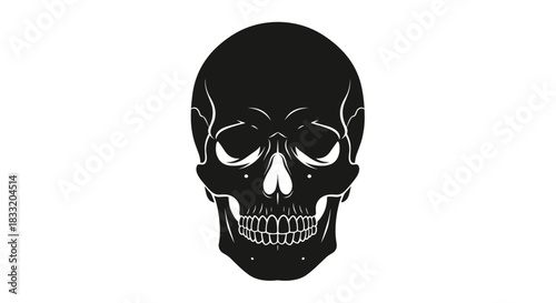 Black Skull Illustration with Intricate Details and Shading.