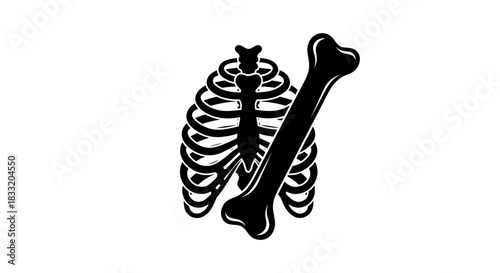 Ribcage and Bone Illustration Anatomical Skeleton Design.