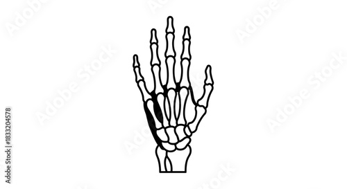 Skeleton Hand Illustration Anatomy and Halloween Theme.