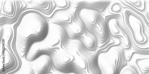 1521Abstract design with black and white abstract papercut and multi-layer cutout geometric pattern on vector Topographic canyon geometric map relief texture with curved layers beautiful design.