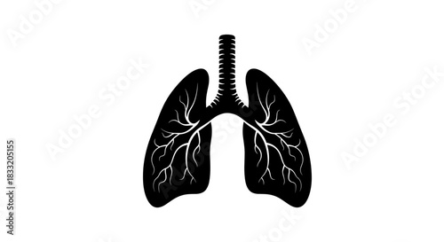 Human Lungs Illustration Anatomy and Respiratory System.