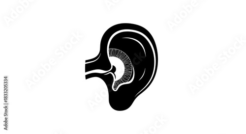 Ear Anatomy Illustration Detailed Medical Diagram for Education.