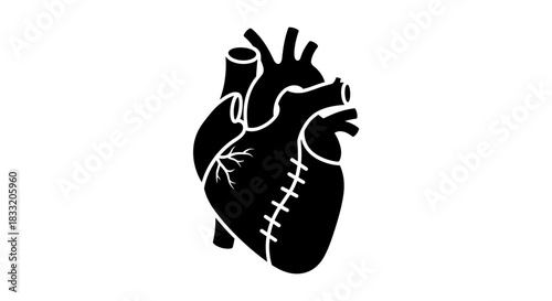 Anatomical Heart Illustration A Detailed Medical Representation.