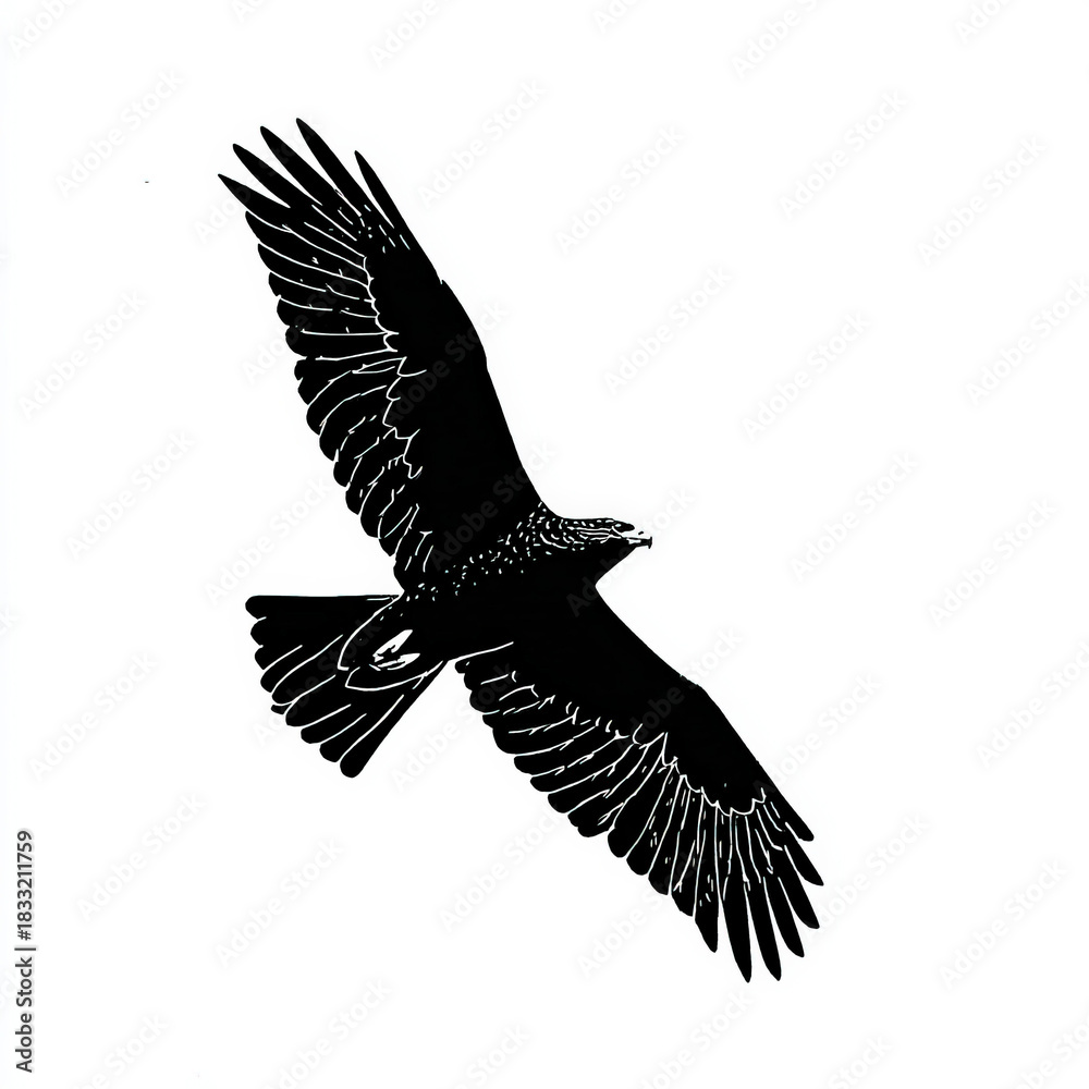 Obraz premium Surprizing Eagle silhouette in sky