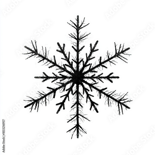 Surprizing Snowflake silhou...