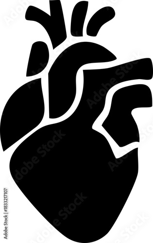 Anatomical heart icon , Human anatomical heart, heartbeat, cardiovascular, anatomy, medical, health, cardiology illustration, biology, organ, human heart collection, Vector illustration !