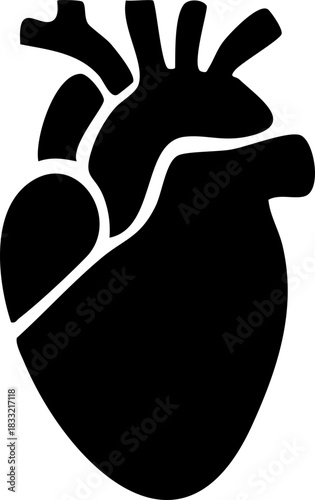 Anatomical heart icon , Human anatomical heart, heartbeat, cardiovascular, anatomy, medical, health, cardiology illustration, biology, organ, human heart collection, Vector illustration !