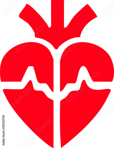 Anatomical heart icon , Human anatomical heart, heartbeat, cardiovascular, anatomy, medical, health, cardiology illustration, biology, organ, human heart collection, Vector illustration !