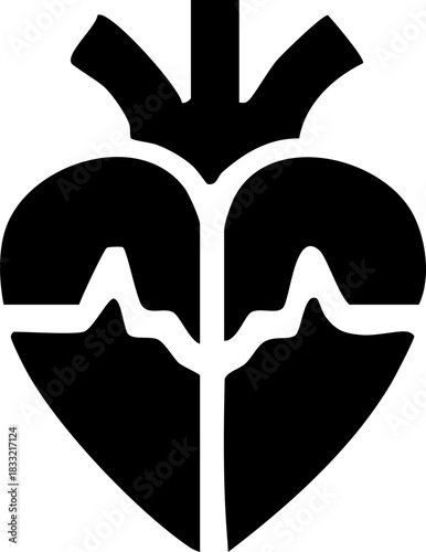 Anatomical heart icon , Human anatomical heart, heartbeat, cardiovascular, anatomy, medical, health, cardiology illustration, biology, organ, human heart collection, Vector illustration !