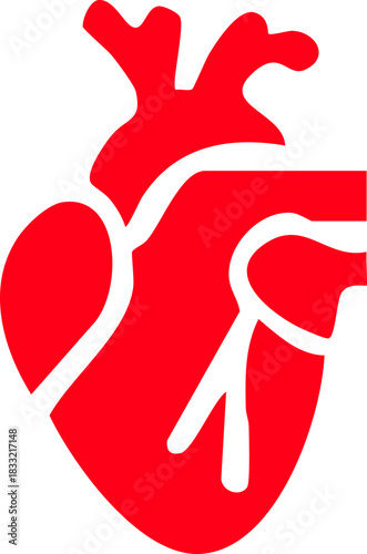 Anatomical heart icon , Human anatomical heart, heartbeat, cardiovascular, anatomy, medical, health, cardiology illustration, biology, organ, human heart collection, Vector illustration !