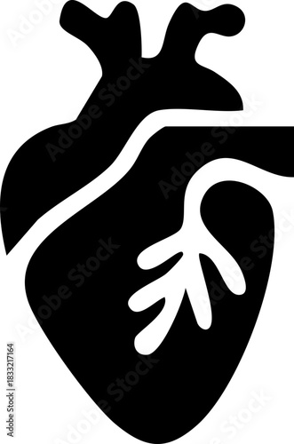 Anatomical heart icon , Human anatomical heart, heartbeat, cardiovascular, anatomy, medical, health, cardiology illustration, biology, organ, human heart collection, Vector illustration !