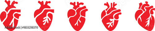 Set of anatomical heart icon Set, Human anatomical heart, heartbeat, cardiovascular, anatomy, medical, health, cardiology illustration, biology, organ, human heart collection, Vector illustration !