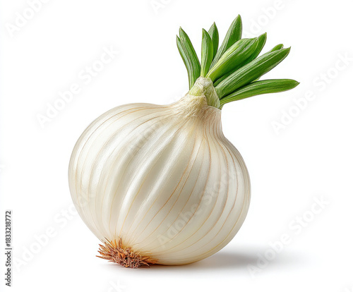 White onion isolated on white