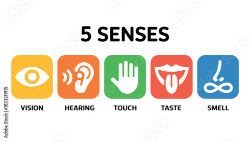 The five senses are vision, hearing, touch, taste, and smell, depicted as icons.
