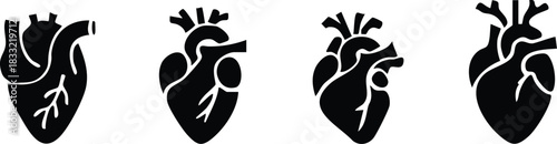 Set of anatomical heart icon Set, Human anatomical heart, heartbeat, cardiovascular, anatomy, medical, health, cardiology illustration, biology, organ, human heart collection, Vector illustration !