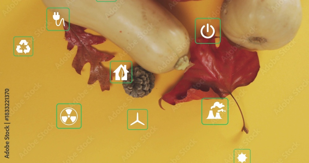 Fototapeta premium Displaying butternut squashes nesting maple leaf and pine cone on mustard sheet, with green icons