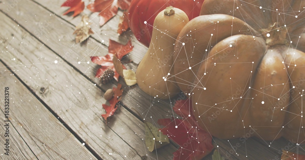 Naklejka premium Displaying pumpkins and squash on plank with maple leaves, acorns, white network overlay