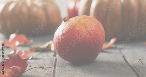 Displaying small orange pumpkin sitting on weathered wooden planks, with scattered autumn leaves