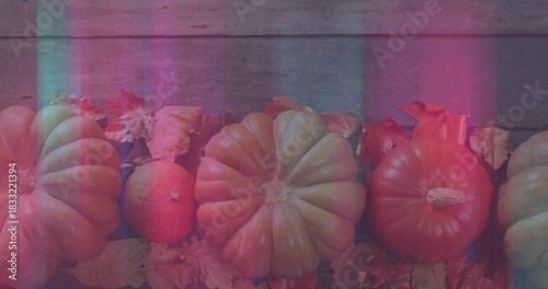 Displaying large ribbed pumpkins with small gourd on weathered plank, showing magenta cyan light