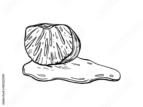 Monochrome peeled orange, lemon or grapefruit slice in juice puddle vector isolated illustration painted by black inks. Citrus piece etching drawing. Tropical fruit for beverage packaging, bar menu